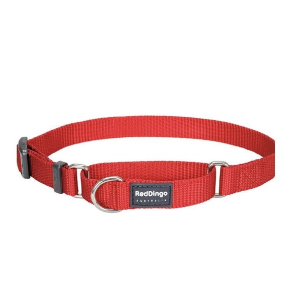 RED DINGO CLASSIC DOG COLLAR, LARGE - Picture 3 of 3